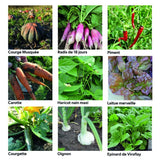 Coffret 40 sachets de graines - Une année au jardin - Radis et Capucine Radis et Capucine Hersée Paris 9