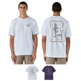 T-shirt Clean Climb Roots Responsibili-Tee® homme recyclé - Patagonia Patagonia Hersée Paris 9